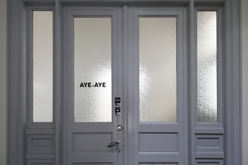 aye-aye.jpeg