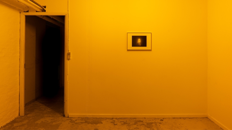 new-centuries-are-rare-2023-installation-view-bizarro-photo-coyote-image-courtesy-bizarro-and-coyote.jpg