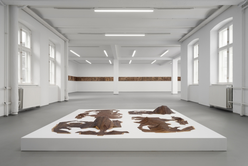 7_horse-droppings-are-not-figs_victor-bengtsson_overgaden_009_photo-by-david-stjernholm.jpg