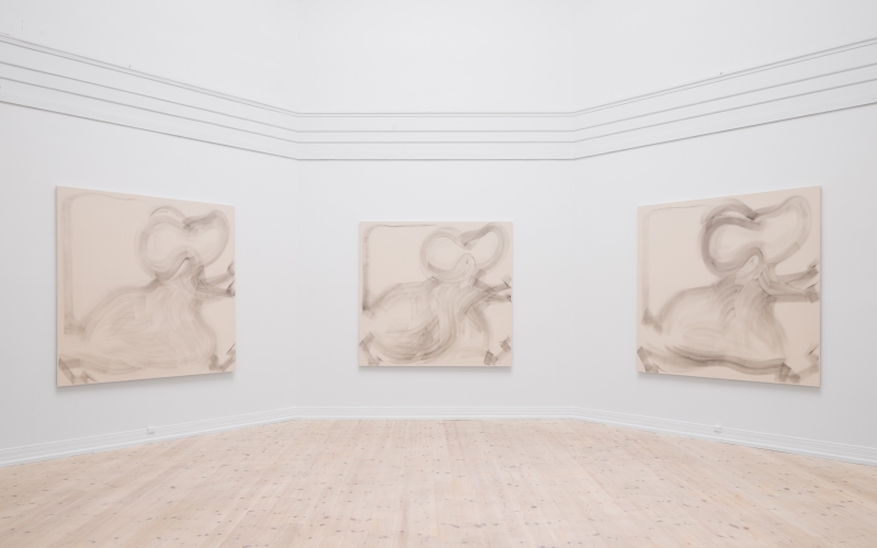 nz_2024_kunsthal-aarhus_photo-mikkel-kaldal_4.jpg