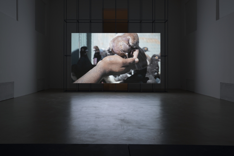 install_yalda-afsah_every-word-was-once-an-animal_2022_kunstverein-munchen_photo-constanza-melendez.jpg