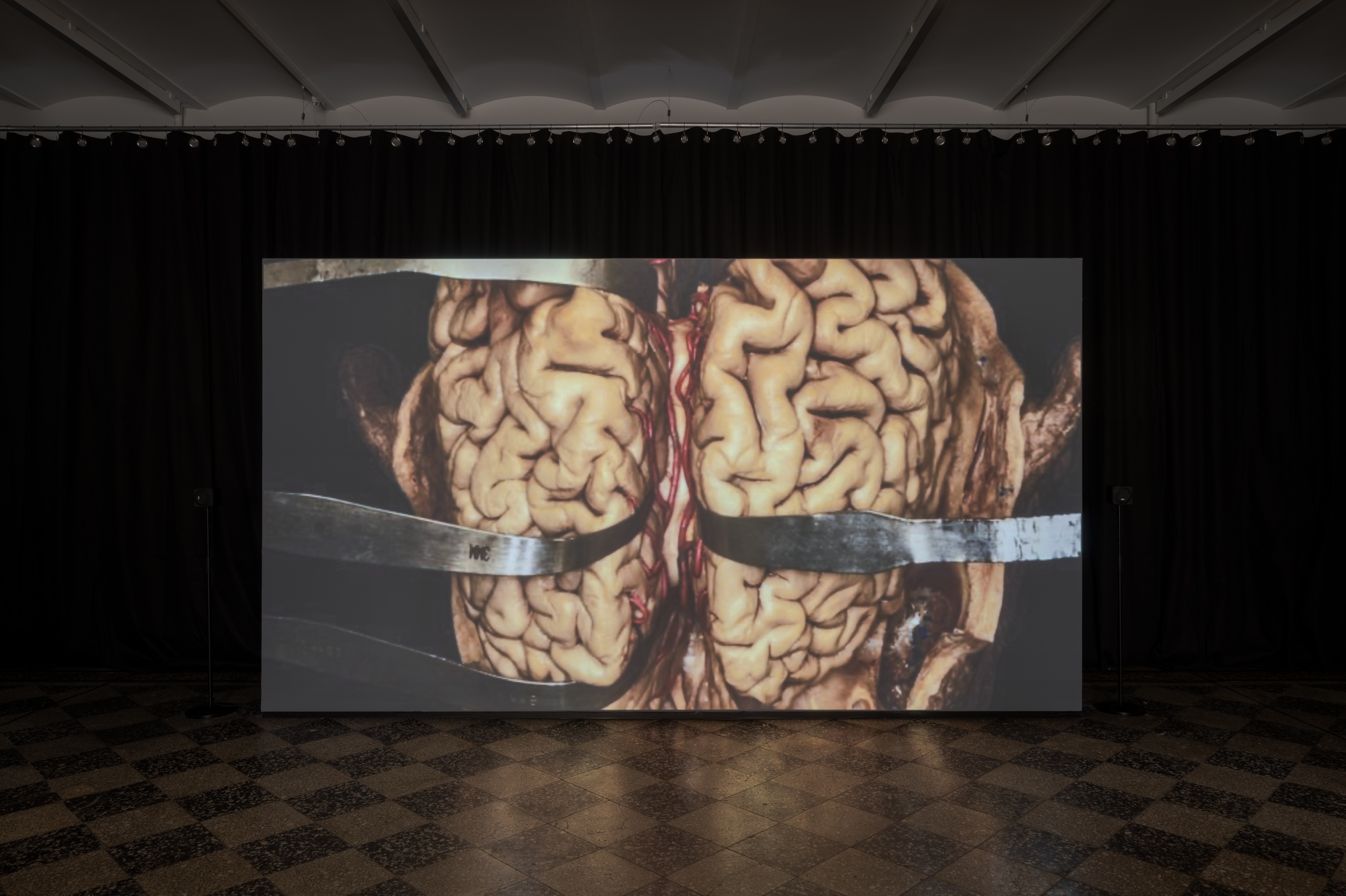 degenerative-knowledge-production_003_photo-by-david-stjernholm.jpg