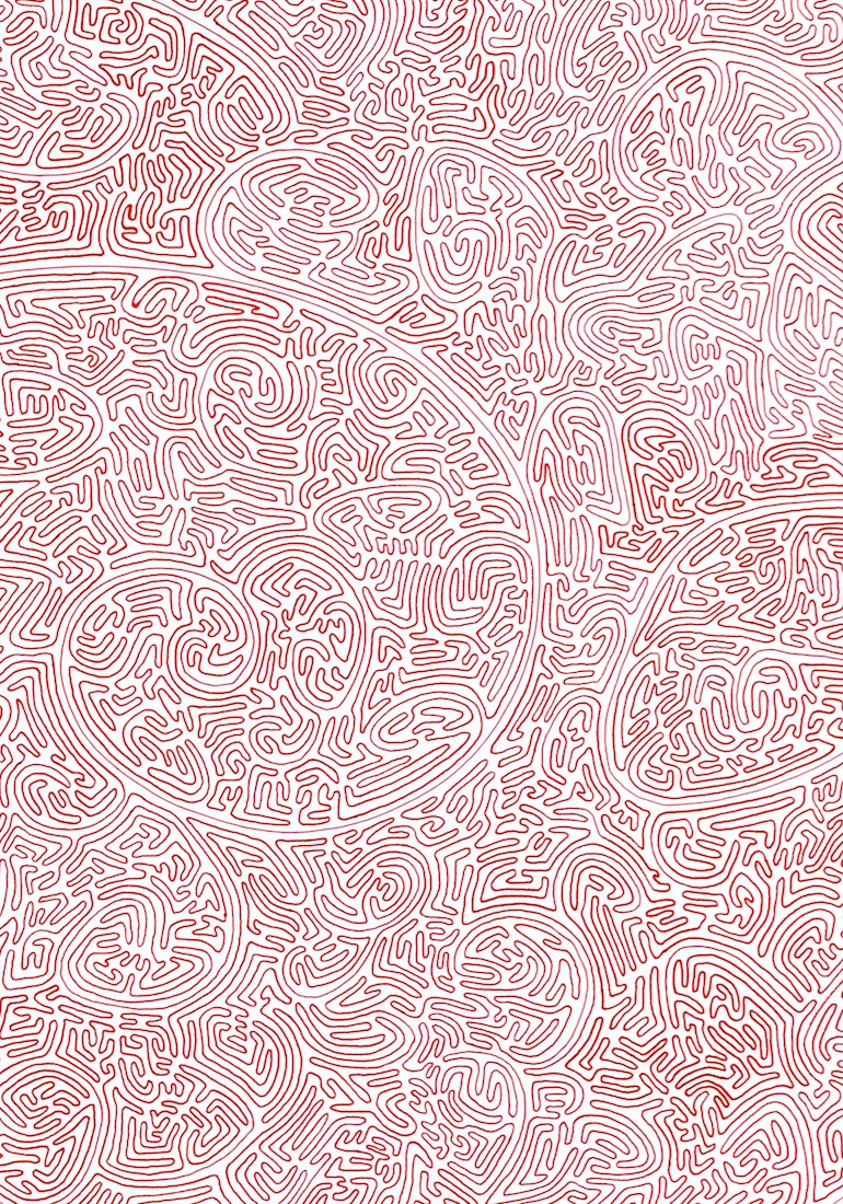 2_moniasanderhaj-mohamed_detalje_photobymaiskeldsen.jpg