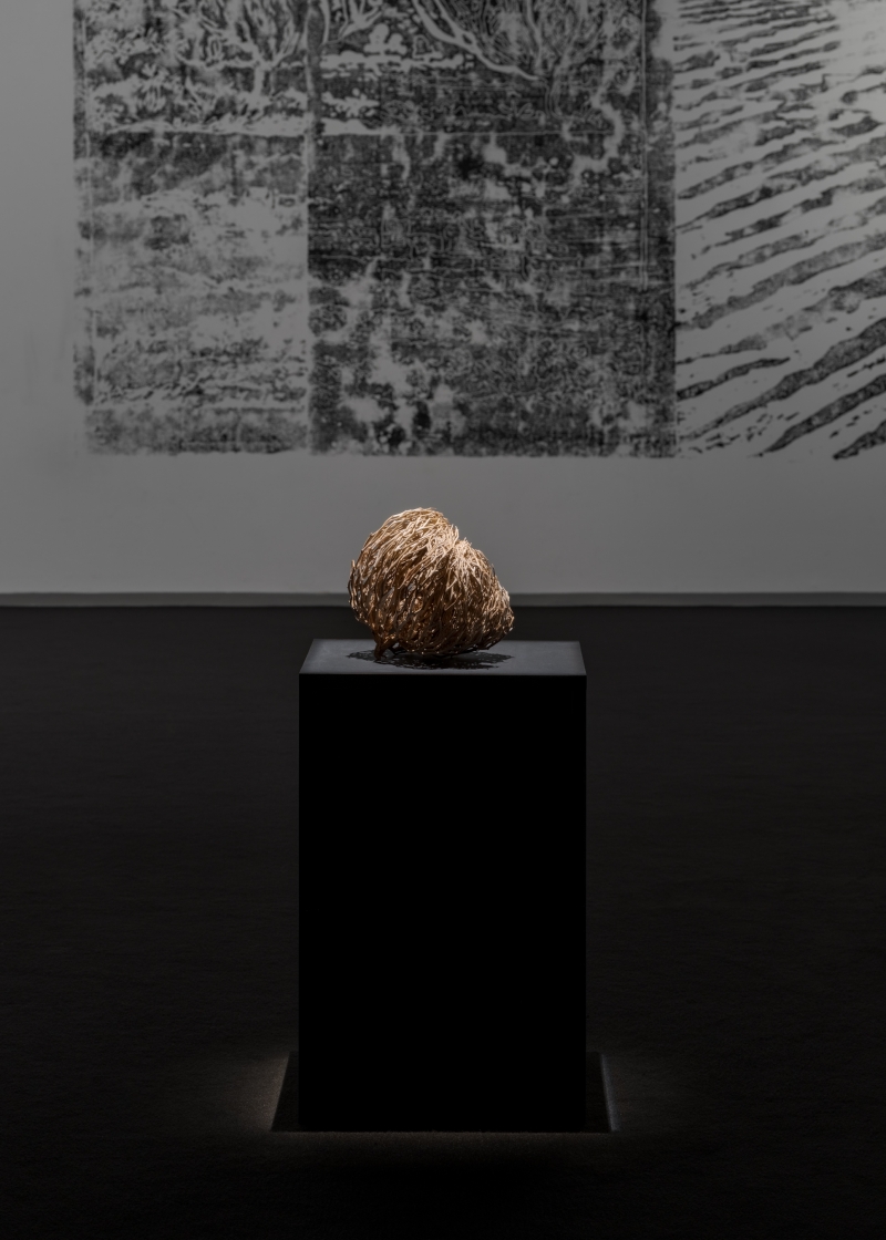 3.the-false-rose-of-jericho_zahna-siham-benamor_apolonia-sokol_photo-by-david-stjernholm.jpg